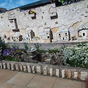 Tomo Pula